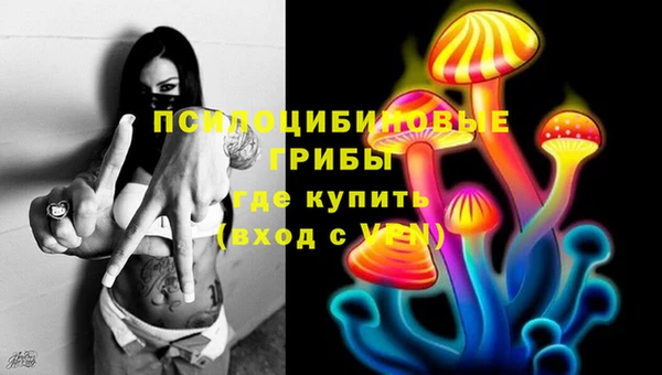 тгк Верея