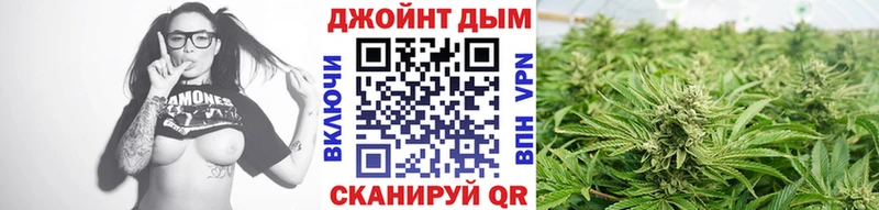 Каннабис конопля Тихорецк